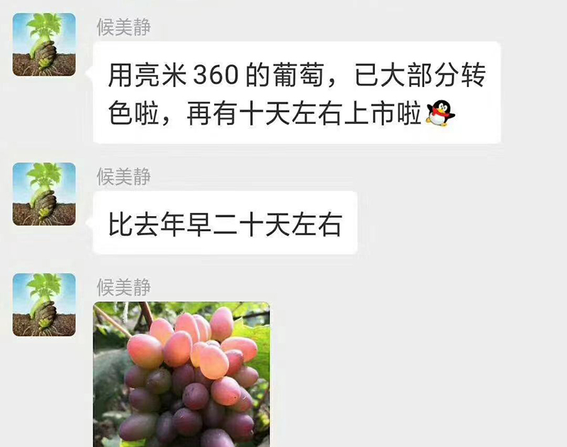 亮米360效果反饋